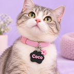 Pet Tag Pop